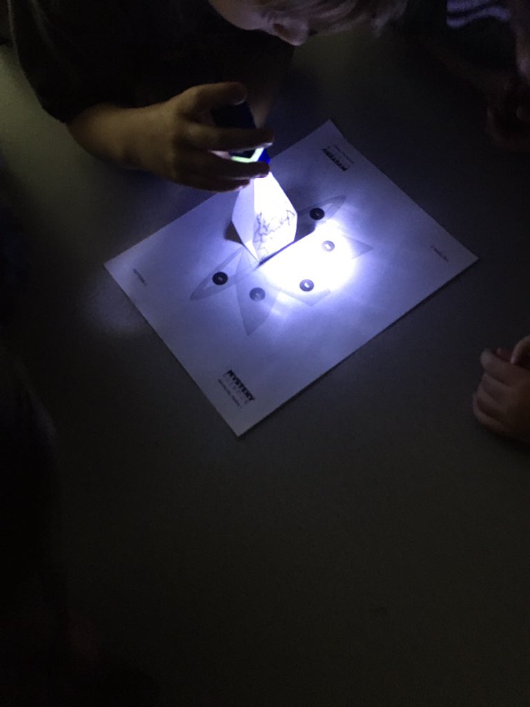 seek2teach1's tweet photo. Can a statues shadow move?! #WeSureWillFindOut #MysteryScience #FlashlightsAreFun #FirstGrade #ScienceRocks #ButCanItThough https://t.co/P1kmtafGEC