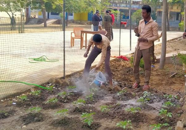CUTS_CHD's tweet photo. #GoOrganic #GoodForYou #GoodForNature
Organic kitchen gardens being develop in Senior Secondary School Netawalgarh pachali in Chittorgarh district Rajasthan under Pro-Organic II. https://t.co/eM4TuFI3Lj