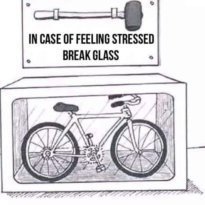 lorgrunner's tweet photo. One more day....
https://t.co/RxmXlpnD6c
#numondaylorg #nuMonday #ukcyclechat #bikelife #weekendfun #newkit #headtube #necktube #buff #personalised #personalisedgifts https://t.co/mN5HV3B90p
