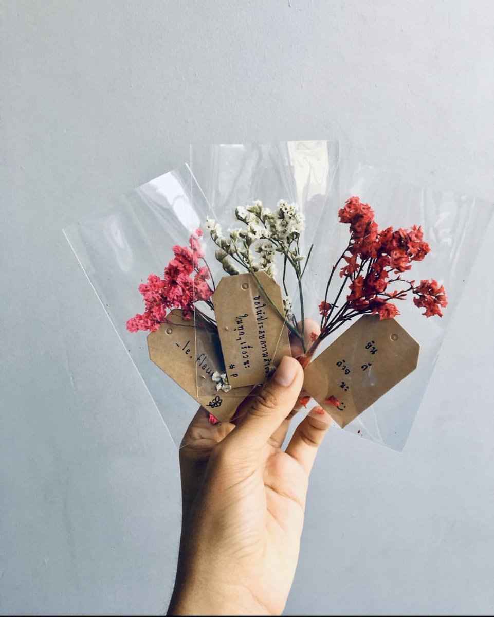 lefleuriste6's tweet photo. 🎄ถุงช่อดอกไม้ 15 บาท
- ขนาด 3x5 - มีการ์ดให้ 🎈
- 15 ถุงขึ้น เหลือถุงละ 13 บาท

  #ขวดดอกไม้แห้ง  #ของขวัญปัจฉิมราคาถูก #ของขวัญวันเกิดแฟน  #ของขวัญปีใหม่  #ของขวัญรับปริญญา  #ของขวัญน่ารัก #ดอกไม้แห้งราคาถูก  #ของขวัญปัจฉิม  #รูปปัจฉิม #ปัจฉิมนิเทศ #มงกุฎดอกไม้  #รูปปัจฉิม https://t.co/gSm9vZ9wng