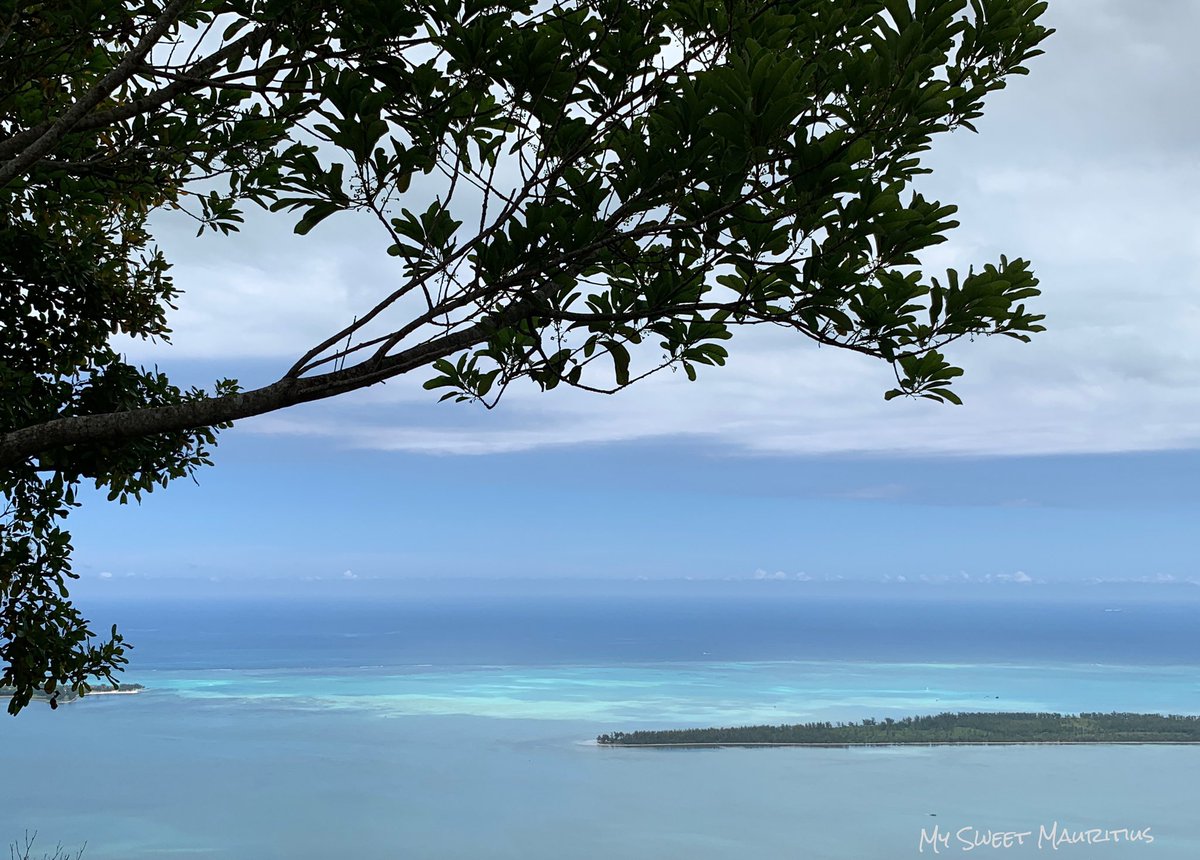 mysweetmauritiu's tweet photo. En attendant la pluie ! #ayojadore #mysweetmauritius #poupettedesiles #mauritius #ilemaurice #blogger #islandlife https://t.co/t9ogaLhQCk