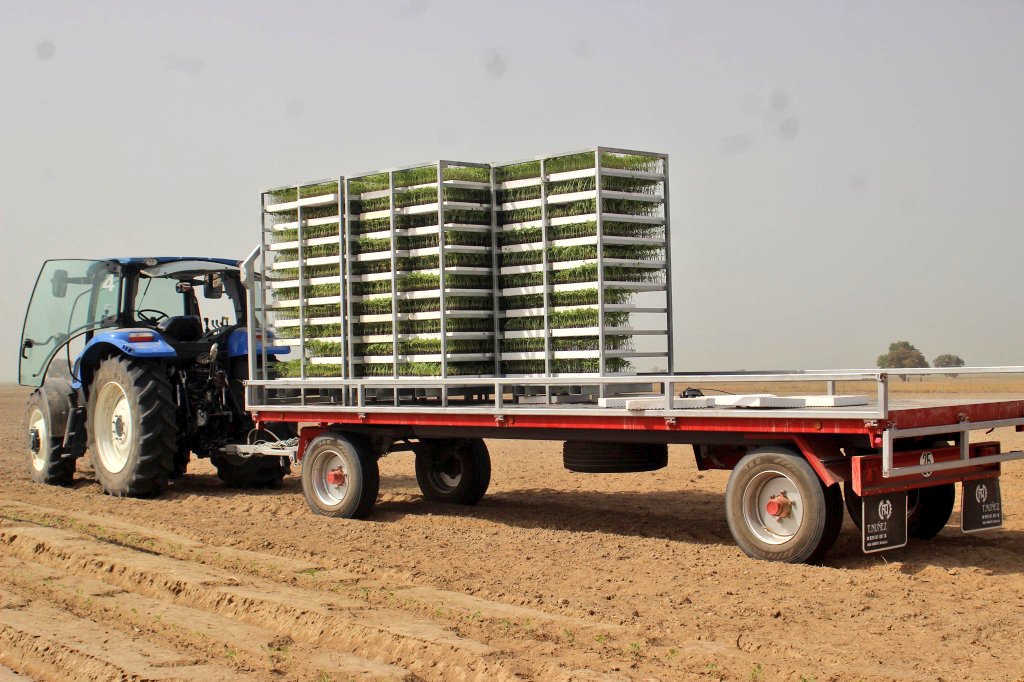 AYCEA_ForUsByUs's tweet photo. 1000 hectares GB Food Tomato Processing Factory set to begin Production in April 2020. https://t.co/ENbKp0ifum