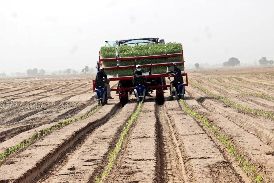 AYCEA_ForUsByUs's tweet photo. 1000 hectares GB Food Tomato Processing Factory set to begin Production in April 2020. https://t.co/ENbKp0ifum