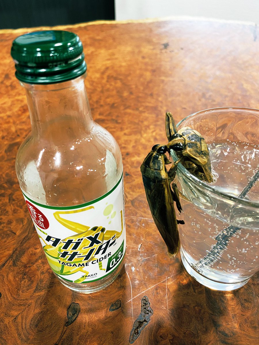 bizzare_0222's tweet photo. 話題のタガメセットを試してみました！
サイダーはやさしいタガメの甘い香り、タガメは煮干しのような味わいでとても美味しくいただきました！

#タガメサイダー
#タガメ
#ゲテモノ
#珍味 https://t.co/IDIrfmiuUu