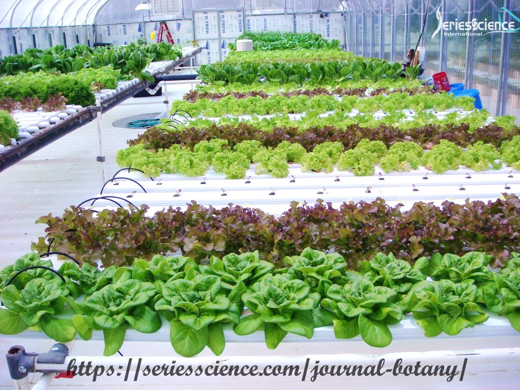 seriesbotany's tweet photo. #Modern #agriculture increases #global #political #Stability by #making more #food #available , improving its #Quality and making it #accessible to more #people . #environmental #PlantBreeding #PlantsSeeds #JSBES #seriesscience
For more info: https://t.co/CiBMKRVeJv https://t.co/9JBsCS23Fr