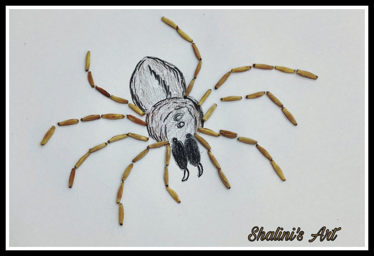 ShaliniGarg7's tweet photo. Seeing a spider isn't a problem. It becomes a problem when it disappears.😁😁
#GardenArt
#Adeniumseeds https://t.co/Tpo3cA97qW