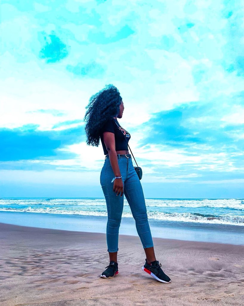 TheDreamBeach tweet picture