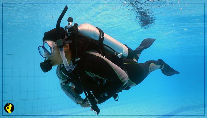 AbsoluteScuba1's tweet photo. PADI SCUBA diving courses – the way the world learns to dive https://t.co/lY7RIKXvlN https://t.co/M1kTNSGULk