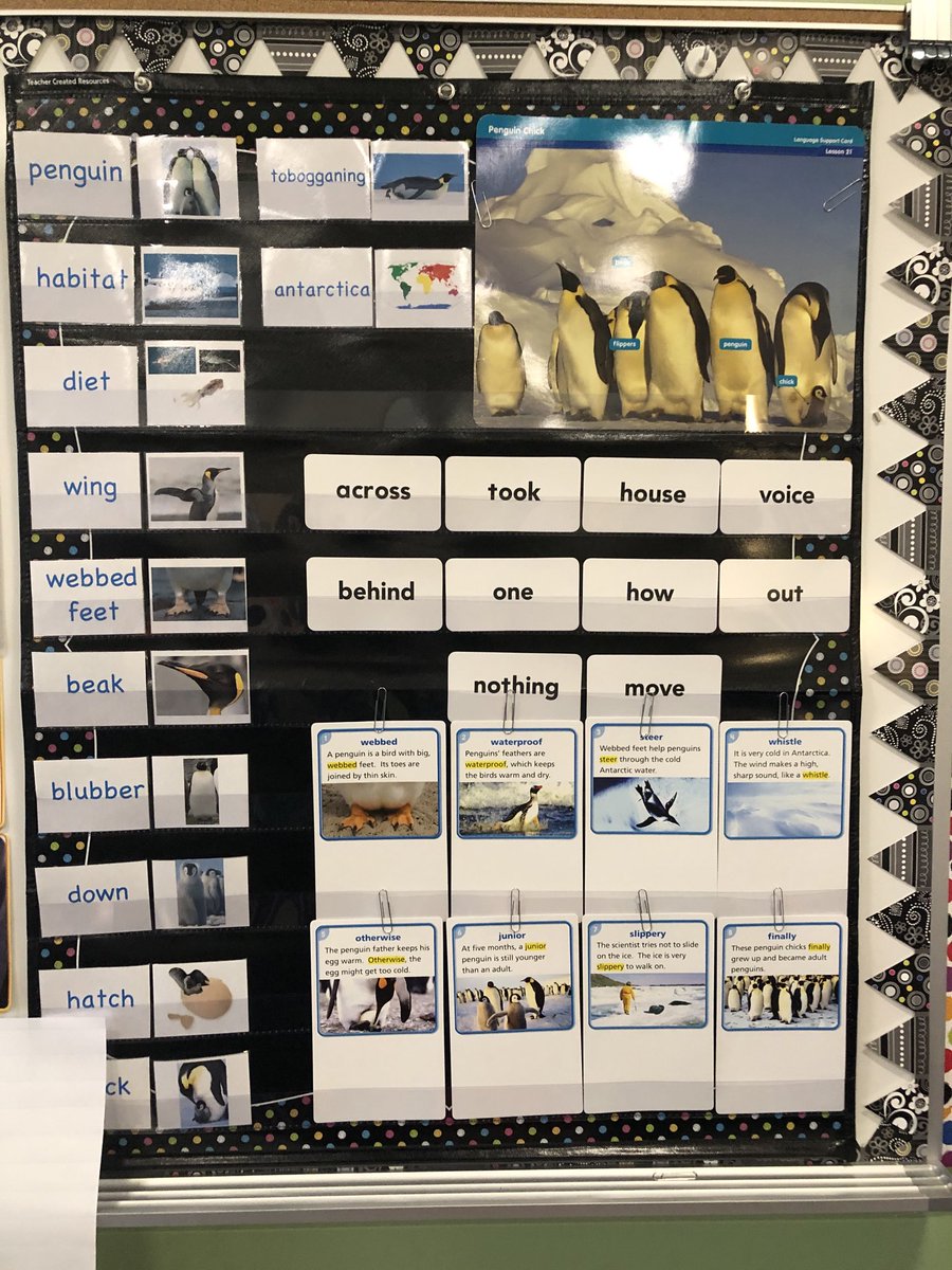 BruzzeseKarina's tweet photo. Working with Ms. Mercer & Ms. Leap, 2nd graders in Walk2Lang @NorthGresham_ES talk & write about what they learned and still have questions about regarding penguins. #LangPractice #CoTeaching https://t.co/BIfQnC5x3r