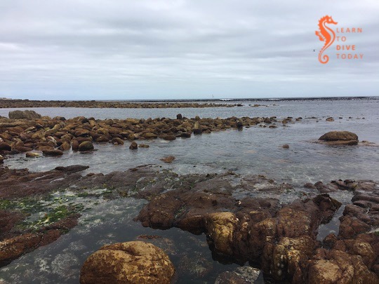 Newsletter: Wakey wakey learntodivetoday.co.za/blog/2020/01/2…