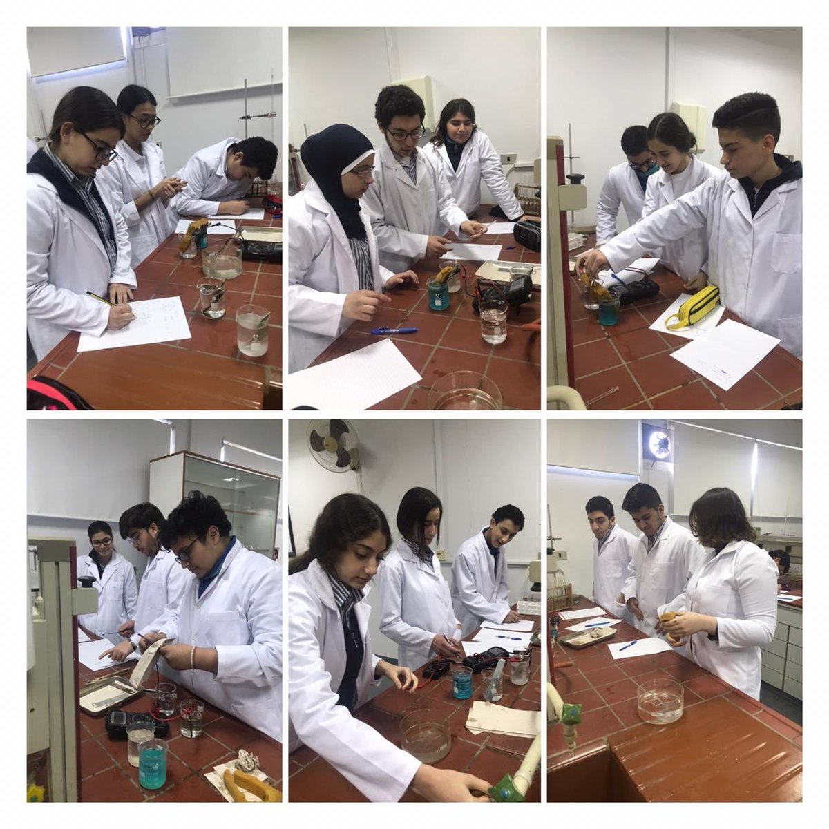 ChemistryRHHS's tweet photo. Students construct galvanic cells to classify metals in order of increasing reactivity https://t.co/0sZMTpjmfp