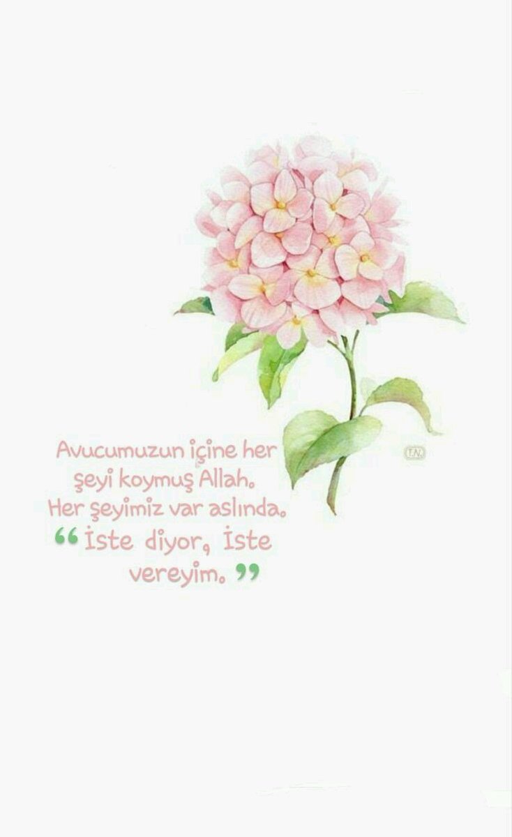 Umutların tükenmediği, yeni başlangıçlar için #Günaydın 🌞 
Kalbinizden gecen tüm dualar, dilinizden Amin olarak dökülsün inşAllah...
#CumamızMübarekOlsun 🌷 
#HayırlıCumalar🌹
