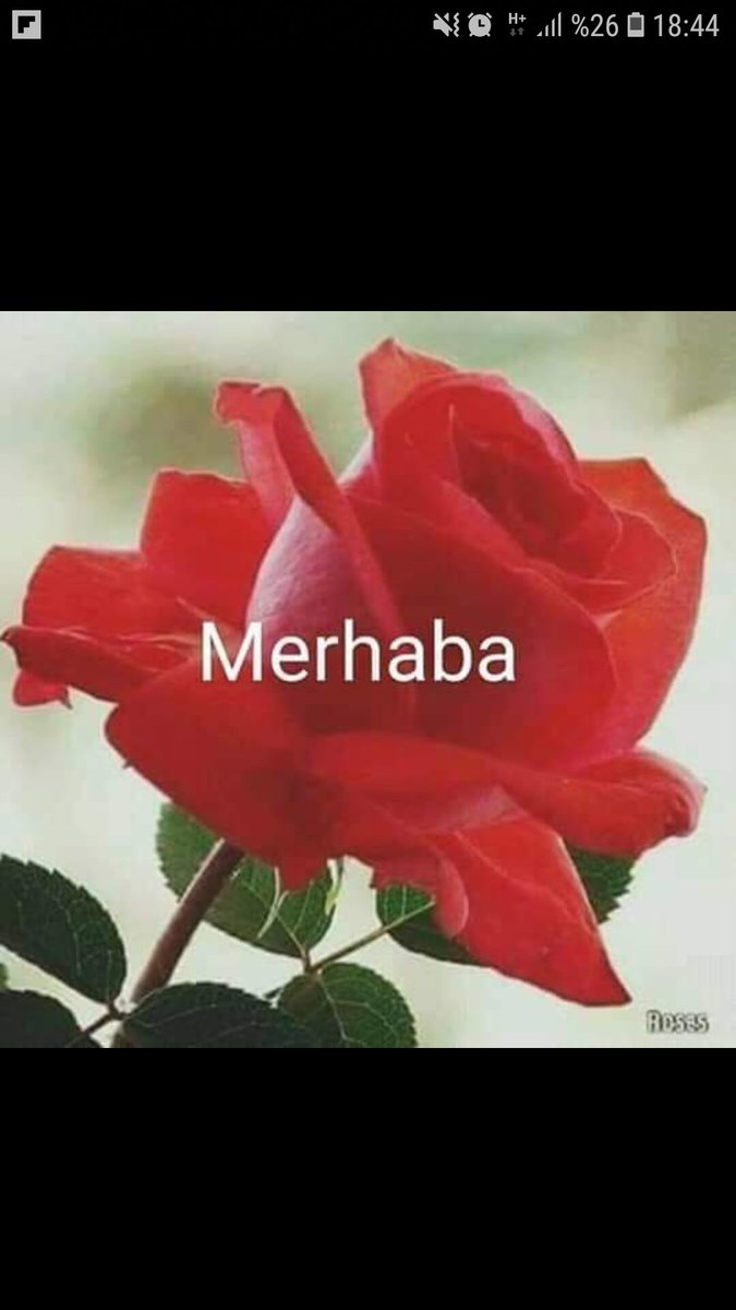 Binali (@binali64692544) on Twitter photo 