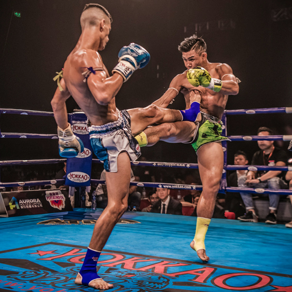 MMAShopEU's tweet photo. Yokkao Muay Thai shin guards 
top quality, made in Thailand
https://t.co/lsgcJDOQmt

#yokkao #thailand #boxing #tradition #kickboxing #ringsports #muaythai #handmade #mma #mmashop #ultimatelifestyle https://t.co/3RHuE7jKwr
