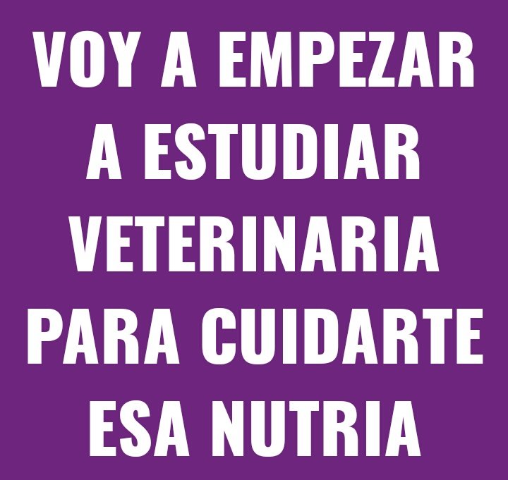 jesilove_'s tweet photo. Ahora si. #LaNutria https://t.co/7NTL4ssbaG