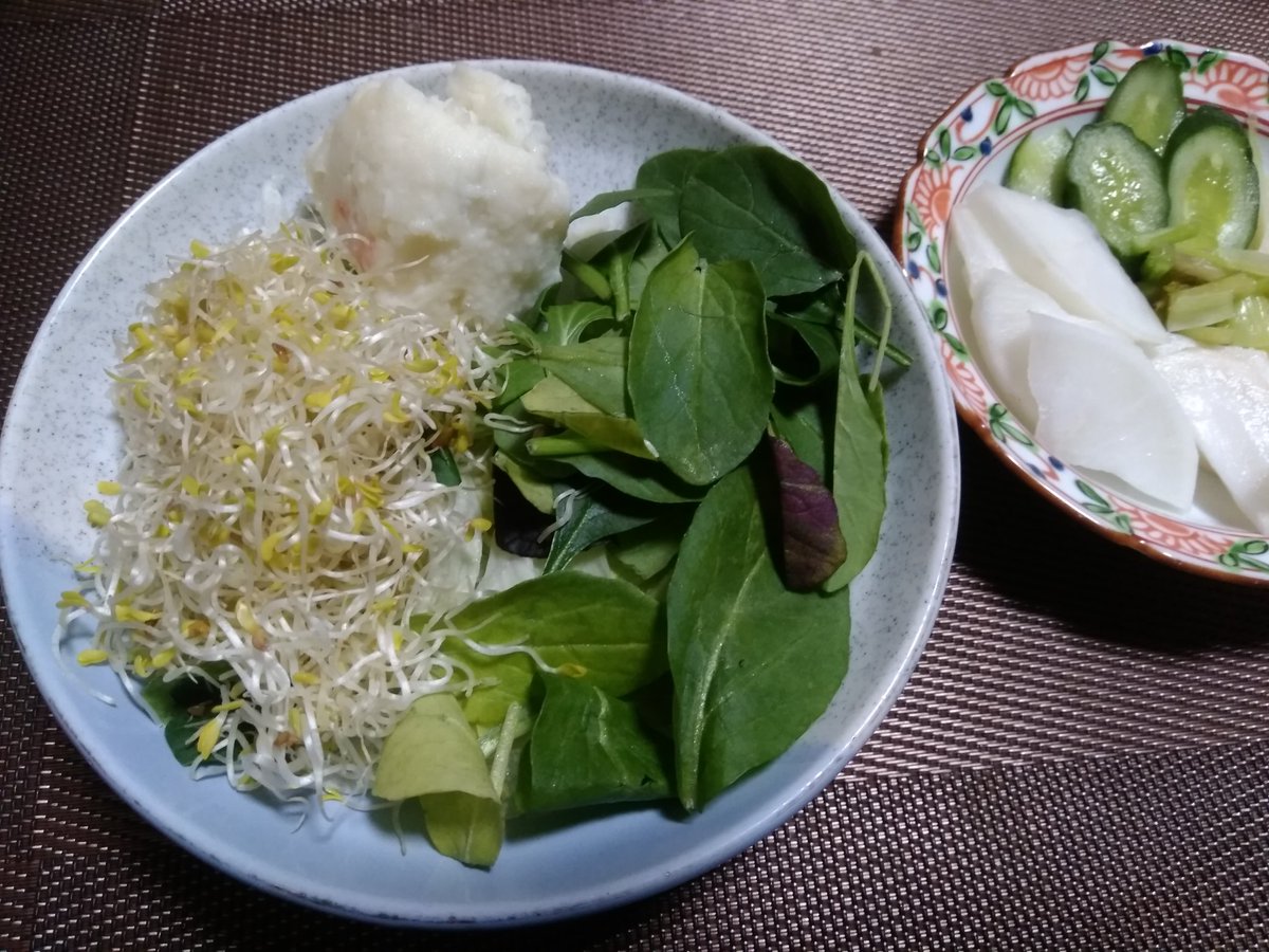 ট ইট র いそさん 夕飯 自宅 サラダ レタス ベビーリーフ ポテト アルファルファ めかぶ酢 目玉焼き ご飯1ｇ ネギだく鶏だし汁 方南町の八百屋で買ったぬか漬け きゅうり セロリ かぶ 大根 写真無しキウイフルーツ半分