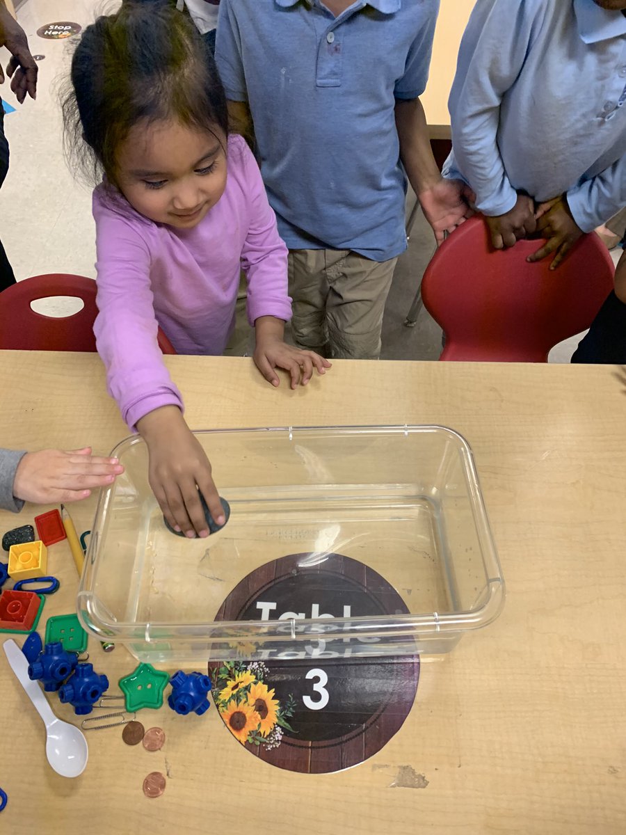 msmisty07's tweet photo. Float or Sink Activity. The look on their faces pure wonder, curiosity, and joy!! #ImLovingIt #DoganRise   @DoganElementary @MaggyTovar1 @BMcKinney83 @HISDECH @A180_HISD @Ms_AnnieBee @msgloriatorres @TammieDaily9 @MsWinfield17 https://t.co/WwXl28CSTL