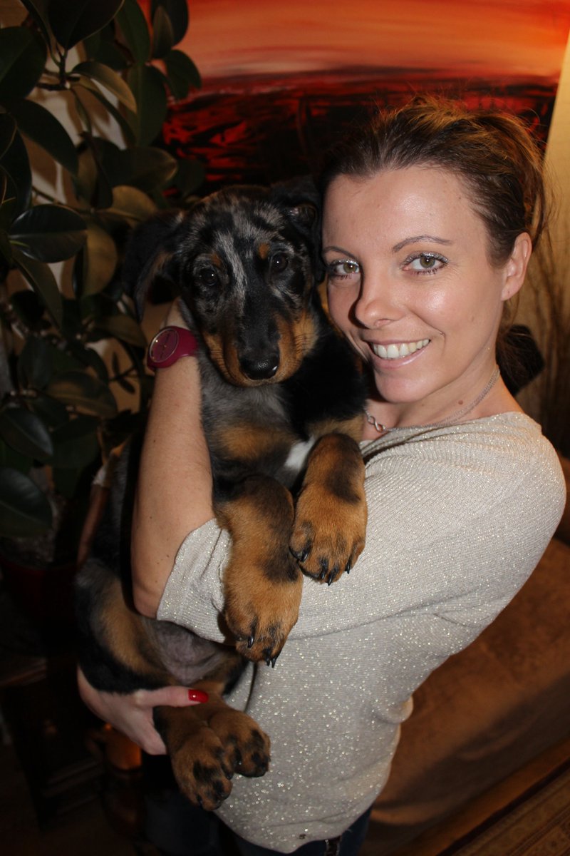 carolinetosca's tweet photo. 12 semaines aujourd'hui ma petite Prune
Elle grandit si vite
🐶🐶🐶
BizzXXL les coquins https://t.co/Fko4jADkjk