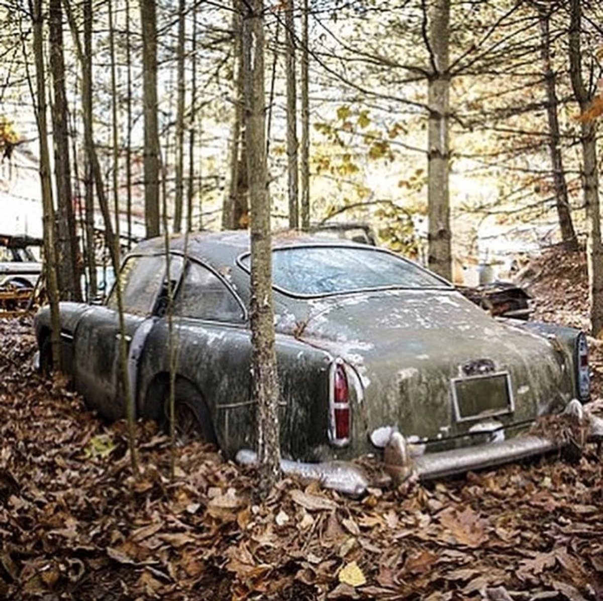 Only9built's tweet photo. 🧢You get to keep one fully restored but must destroy the other🤔

Like to keep Lotus Europa

Retweet to keep Aston Martin DB4 https://t.co/HrbdC1VBJM