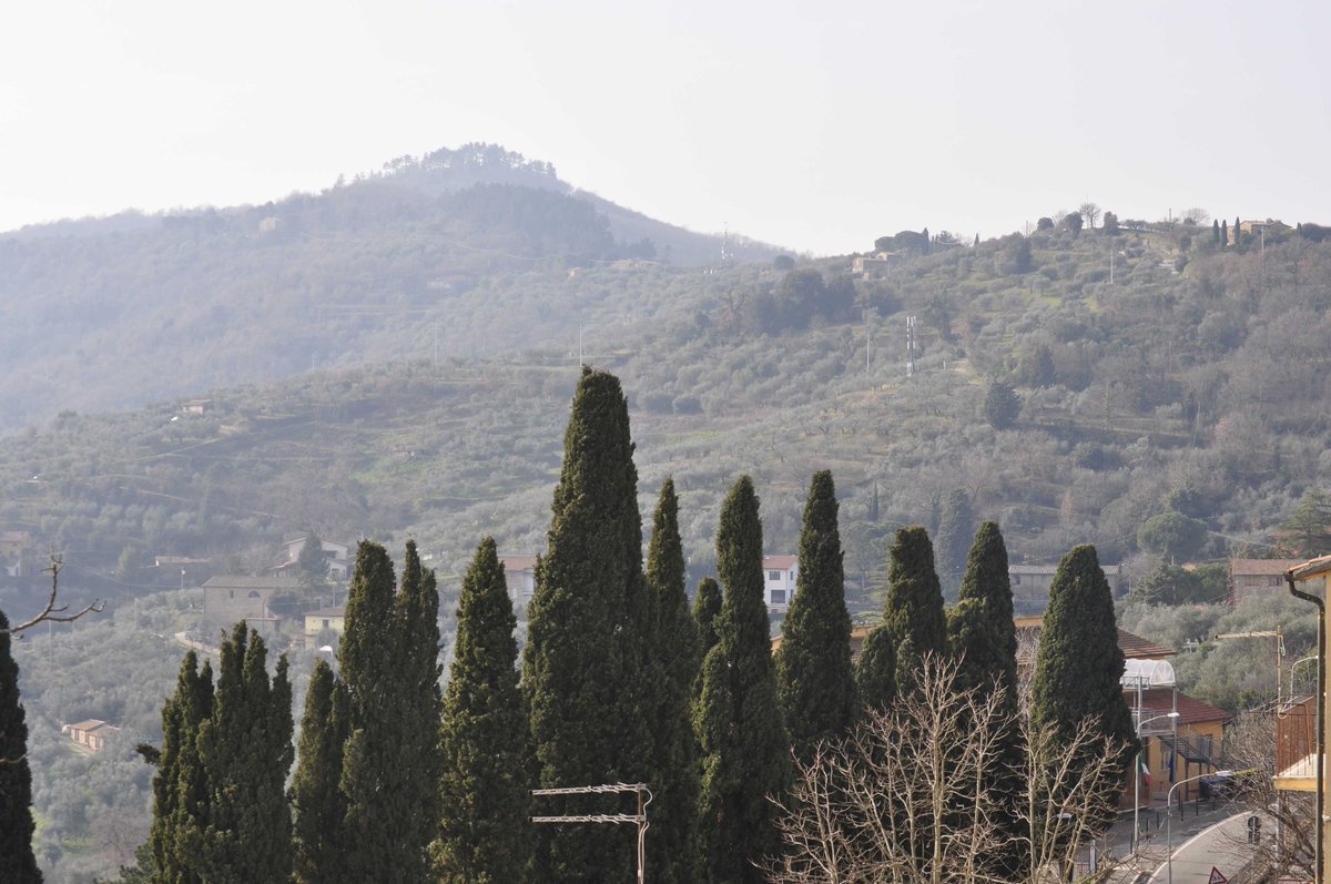 PanicaleTourism's tweet photo. Panicale: cipressi salendo e lontana la chiesa del rosario https://t.co/D9mVF1qpJb