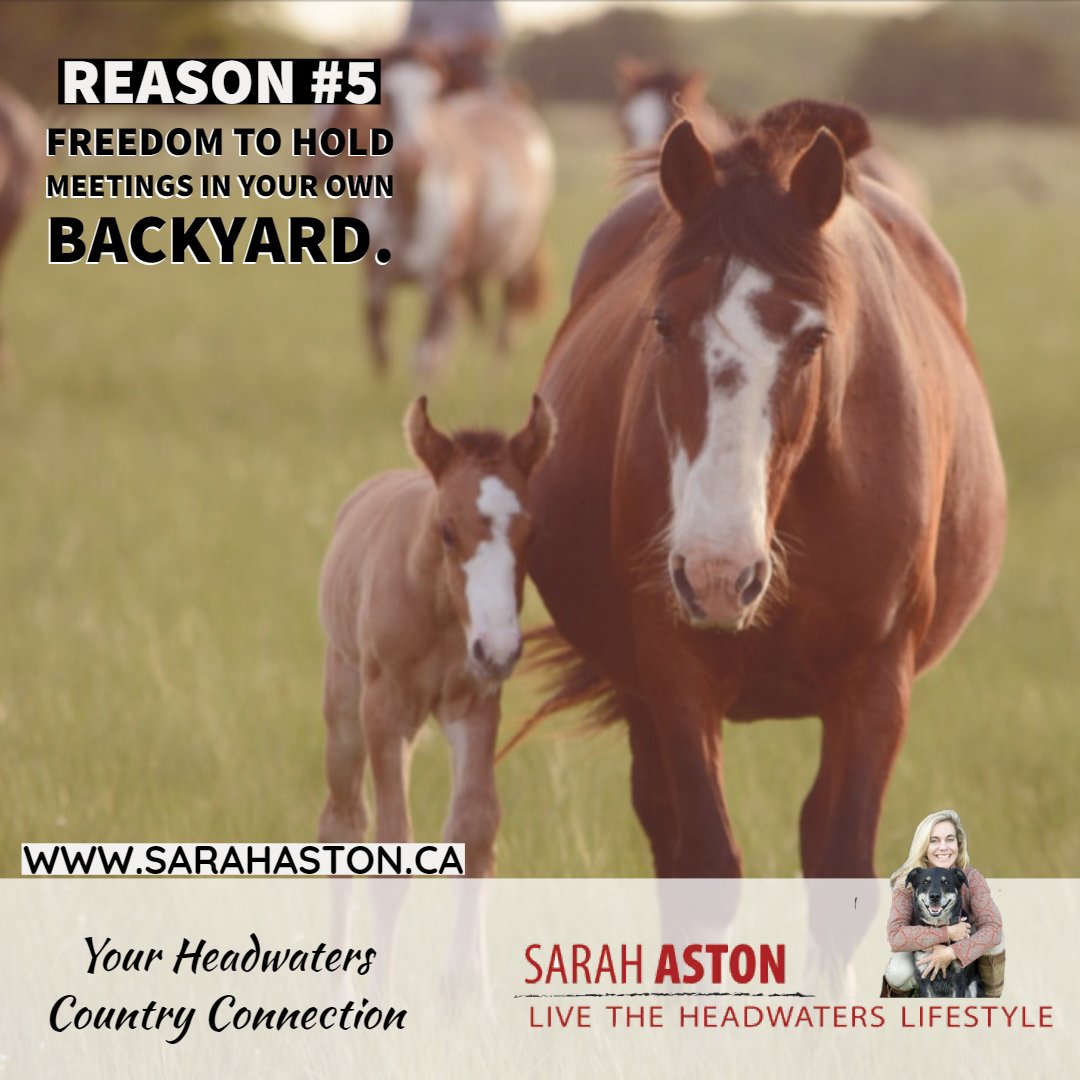 Sarah Aston tweet media