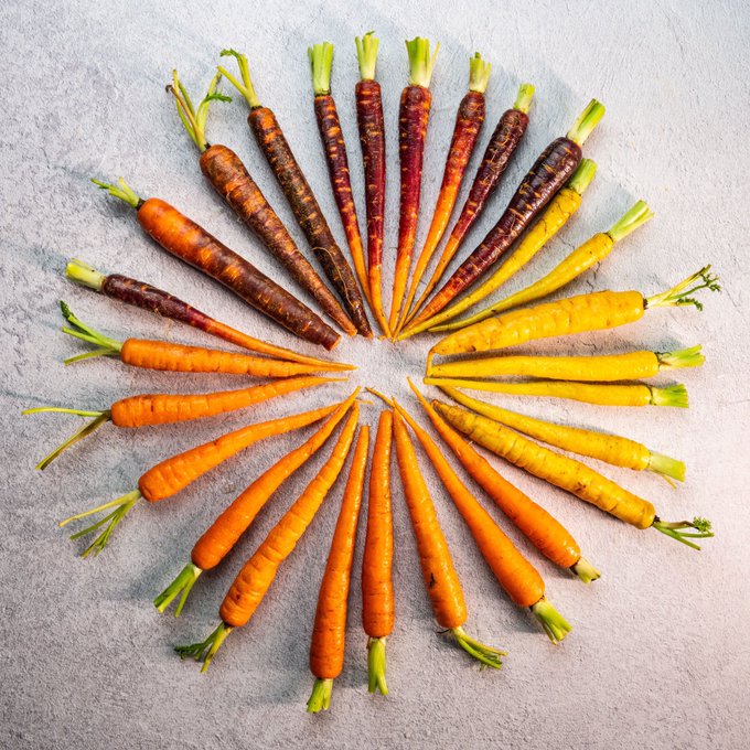 Eat in full colour this <a href="/veganuary/">Veganuary</a> at Browns 🌱🥕⠀
⠀
#BrownsBrasserie #Veganuary #BrownsBristol #Plantbased