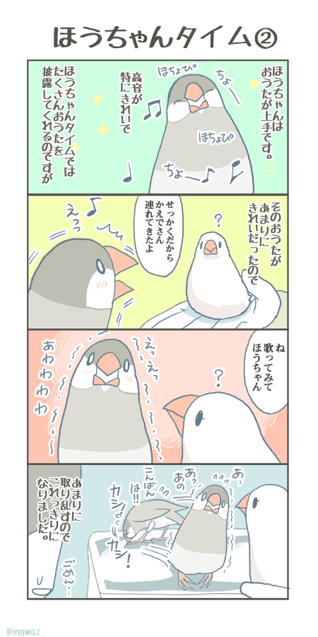 過去一度だけ、ちょっとおせっかいしてしまった時のお話。今は自然にまかせています。
#buncho #javasparrow #文鳥