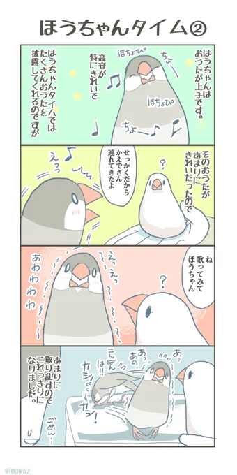 過去一度だけ、ちょっとおせっかいしてしまった時のお話。今は自然にまかせています。

#buncho #javasparrow #文鳥 