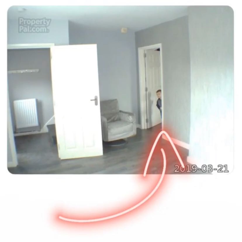 PropertyPal tweet media