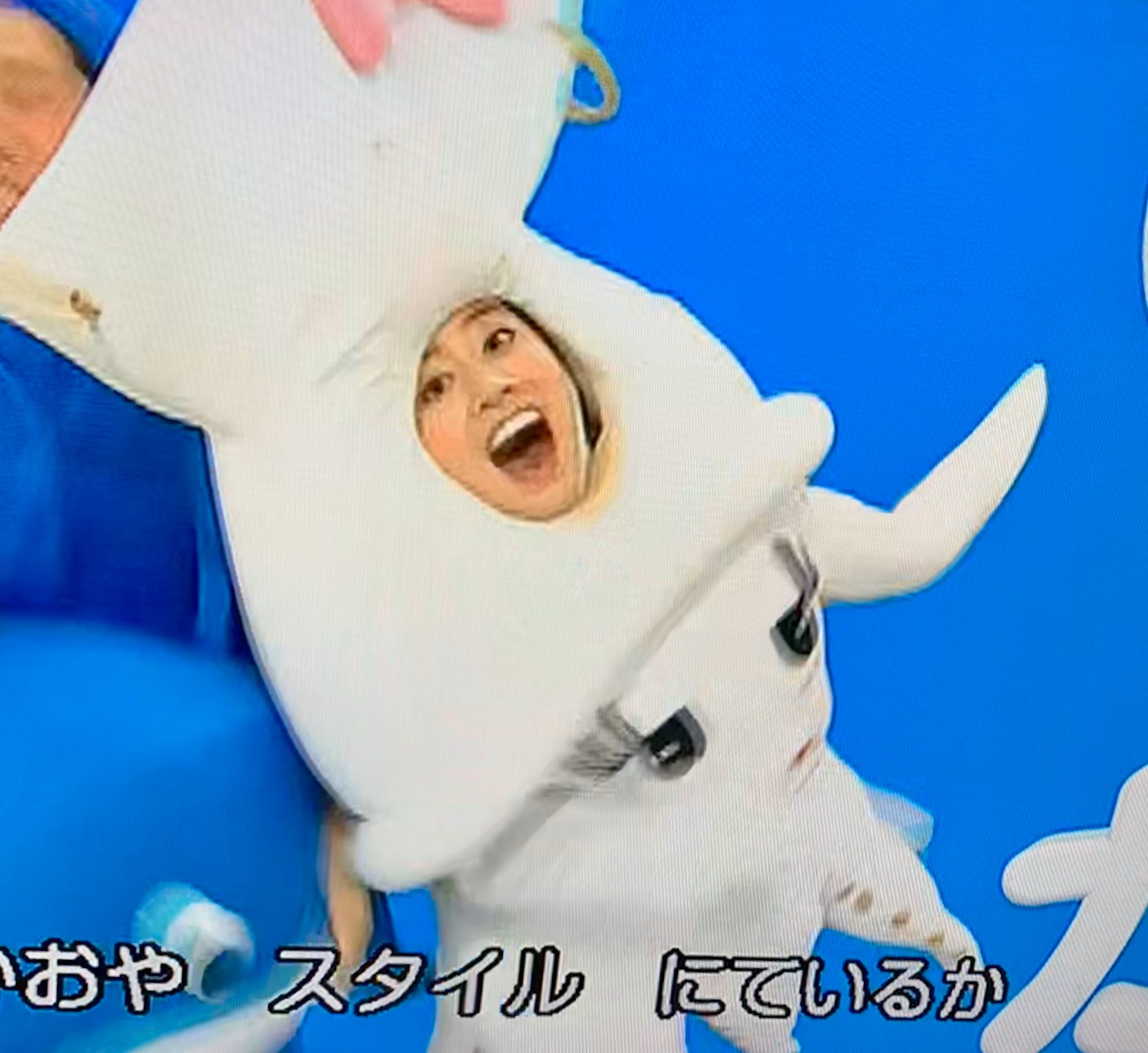 イカイカイルカ Twitter Search Twitter