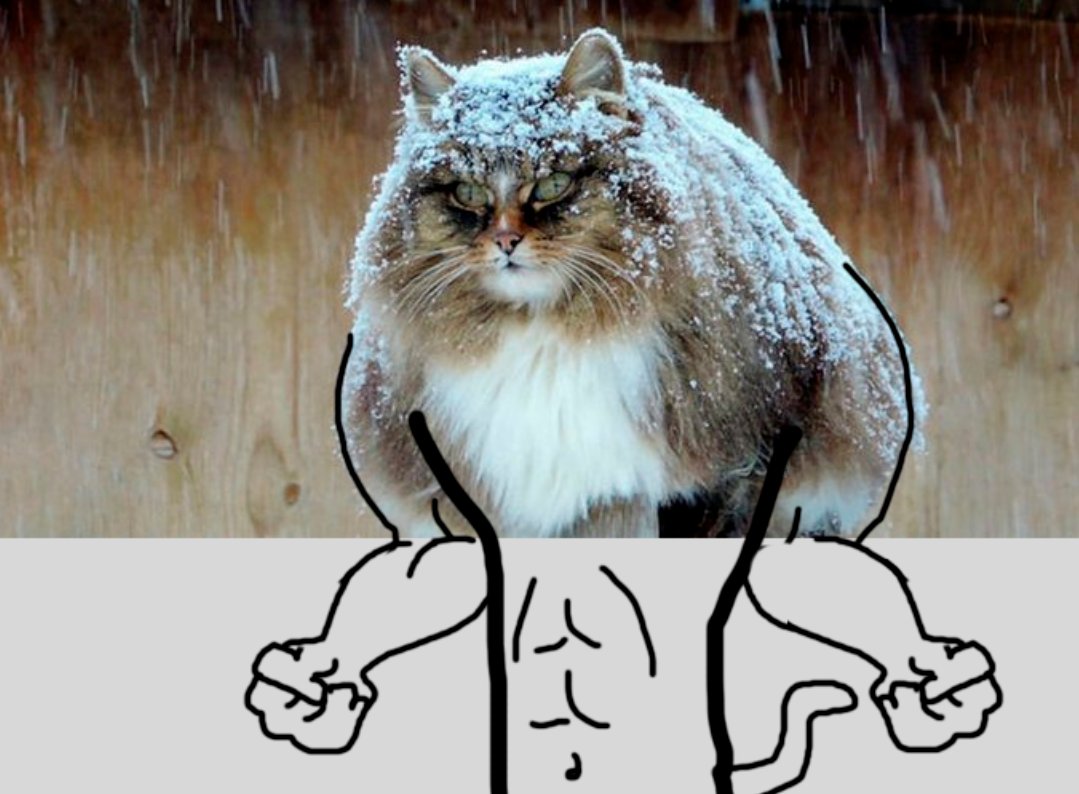 EPC6D39WkAEmzk6?format=jpg&name=medium