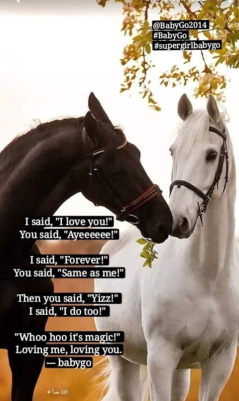 I said, 'I love you!' You said, 'Ayeeeeee!' I said, 'Forever!' You said, 'Same as me!' Then you said, 'Yizz!' I said, 'I do too!' 'Whoo hoo it's magic!' Loving me, loving you. --- babygo