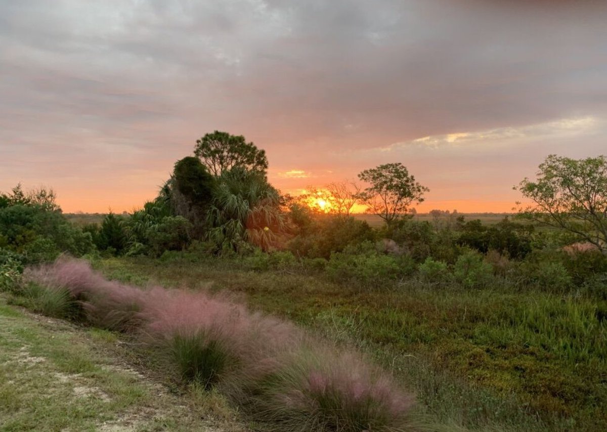 You know the day's gonna be amazing when you wake up to this view. 📸: Naturalist Emily