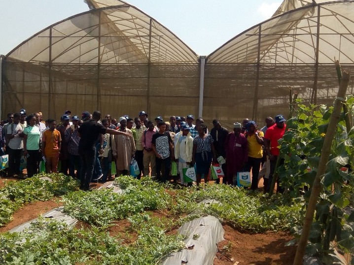 ObaAkobi's tweet photo. Flashback to BAYER's Let's Go Veggies 2019.
Knowledge, whilst being an abstract factor, is a key "input" for food security. Over the years, @Sedfort &amp; @seedforthagro have gathered knowledge on how to grow veggies in Nigeria. We delighted farmers by sharing relevant knowledge.#FBF https://t.co/0YuTVcSOkM
