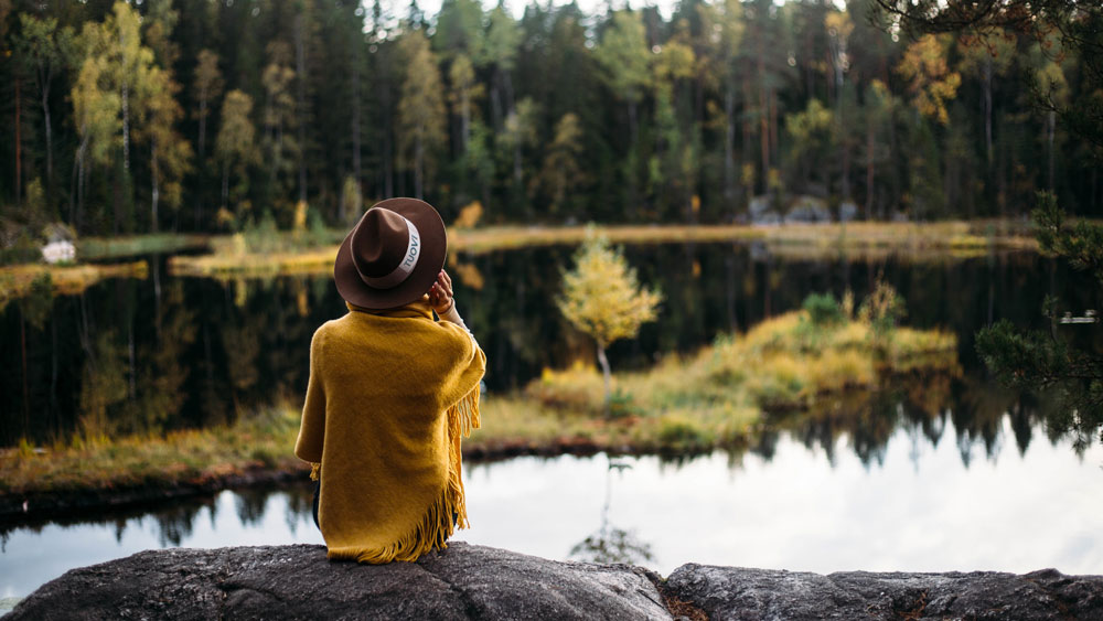 Finnish Government tweet media