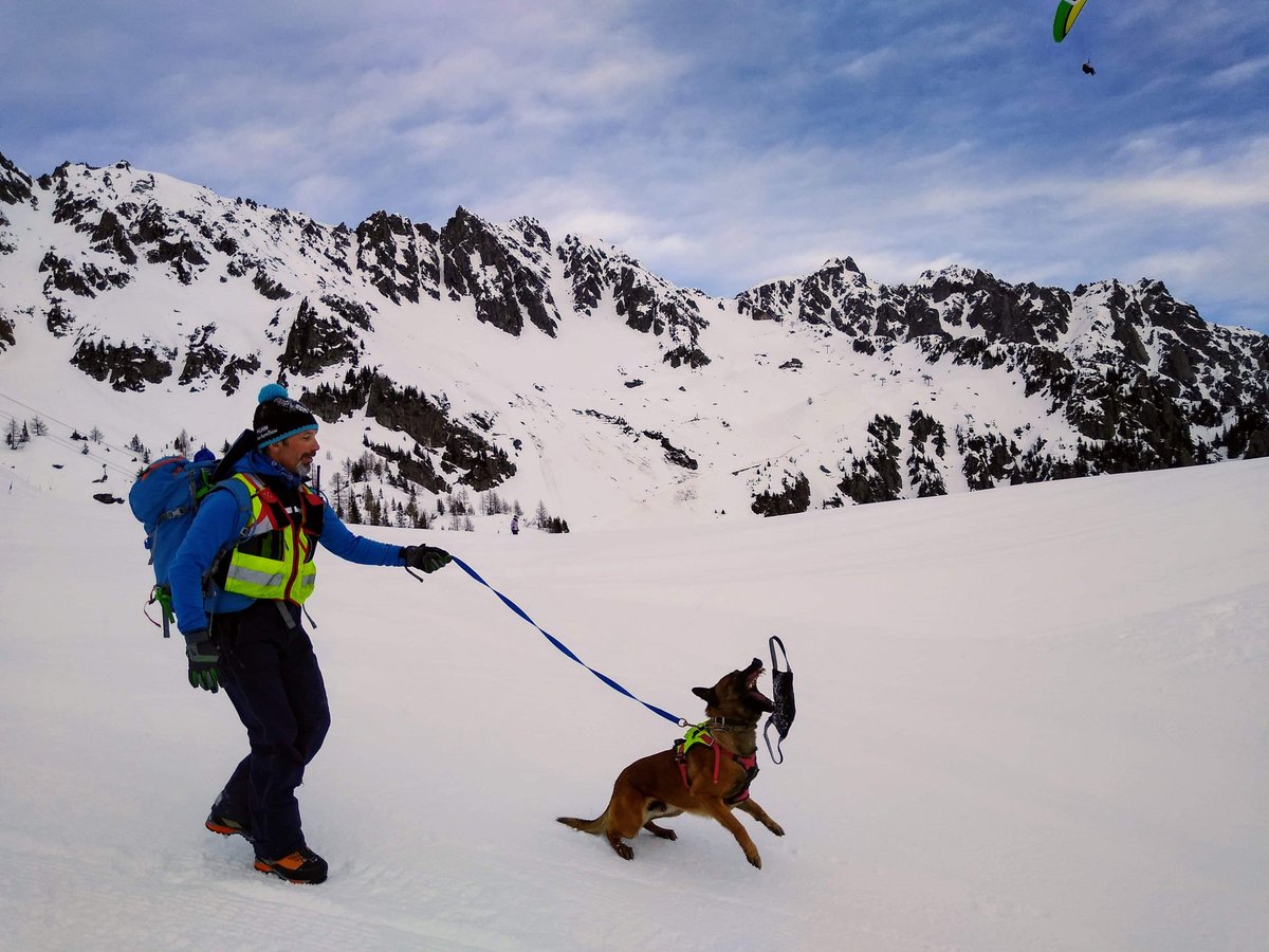 Gendarmerie_074's tweet photo. Formation conjointe des équipes cynophiles avalanche #CNEAS &amp; #CNISAG à laquelle a pris part notre nouvelle équipe 👮‍♂️🐕 composée du maréchal des logis-chef Stéphane et de son fidèle NEYKO. ✌️#PGHM https://t.co/fxXbG0I1HI