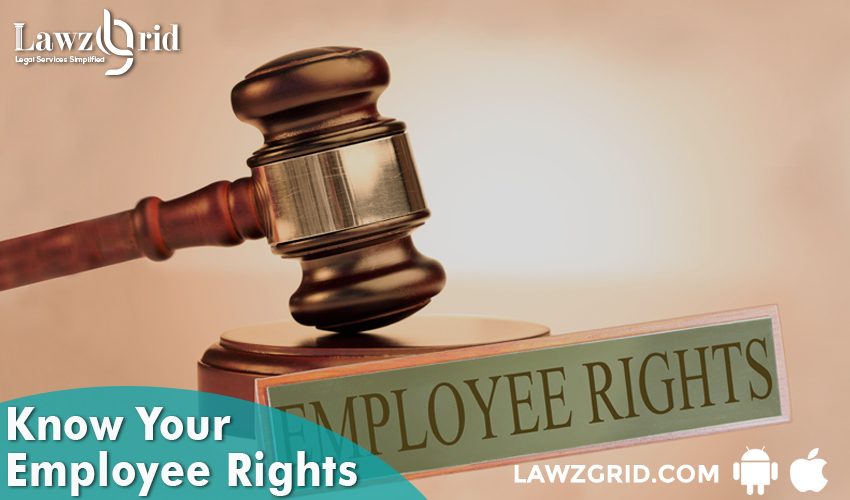 lawzgrid's tweet photo. In order to protect the employee’s from being exploited by the employer, the laws in India have been drafted in such a manner that the employee rights are given priority. 
#employeerights #employeerightslaw #employeesrights #lawzgrid
https://t.co/hdorJh1mXW https://t.co/dY0xLVQeL1