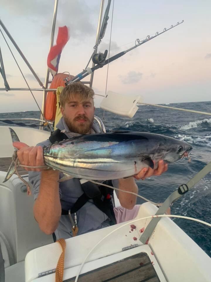 Ahoy sailing tweet media