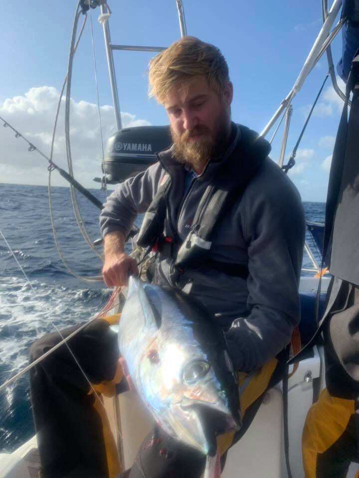 Ahoy sailing tweet media
