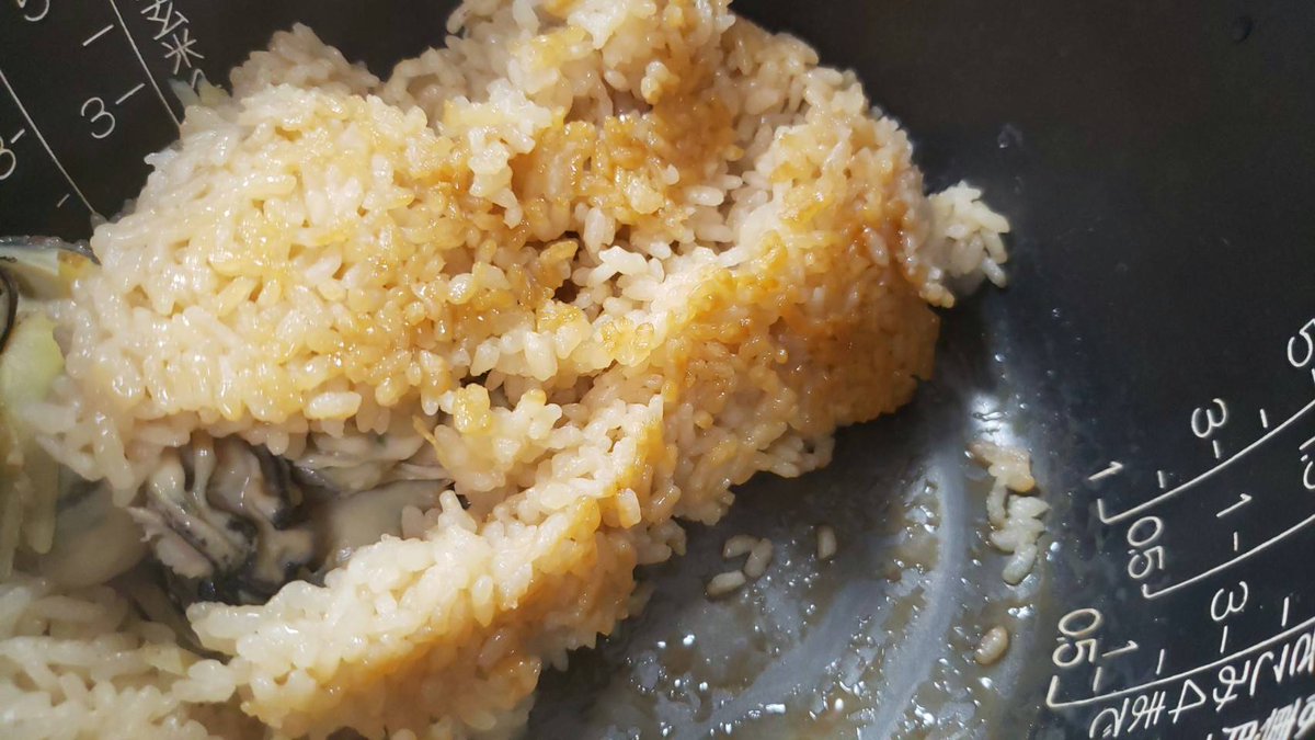 ore825's tweet photo. 香ばしいおこげまで掻き込みたい
炊飯器で作る、世界一簡単な

「炊き込み牡蠣めし」

炊飯器に洗った米1合、醤油大1、みりん大1、酒大2、白だし大1入れ、釜の線まで水を���れ洗った牡蠣100g、生姜10g入れ炊き、小葱

牡蠣と一緒に炊くので身は縮みますが、牡蠣の旨味を吸った米がマジでたまりません！ https://t.co/vJjuwwMbg7