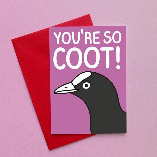 hellohelloDODO's tweet image. A certain love filled card giving day is coming up and we highly recommend that you say it with a slightly obscure water bird 💁‍♀️💕
.
.
.
#hellododo #youresocoot #valentines #galentinesday #valentinescard #indieroller #shopindependent #wemakeworthing #wo… ift.tt/30Nzy1A
