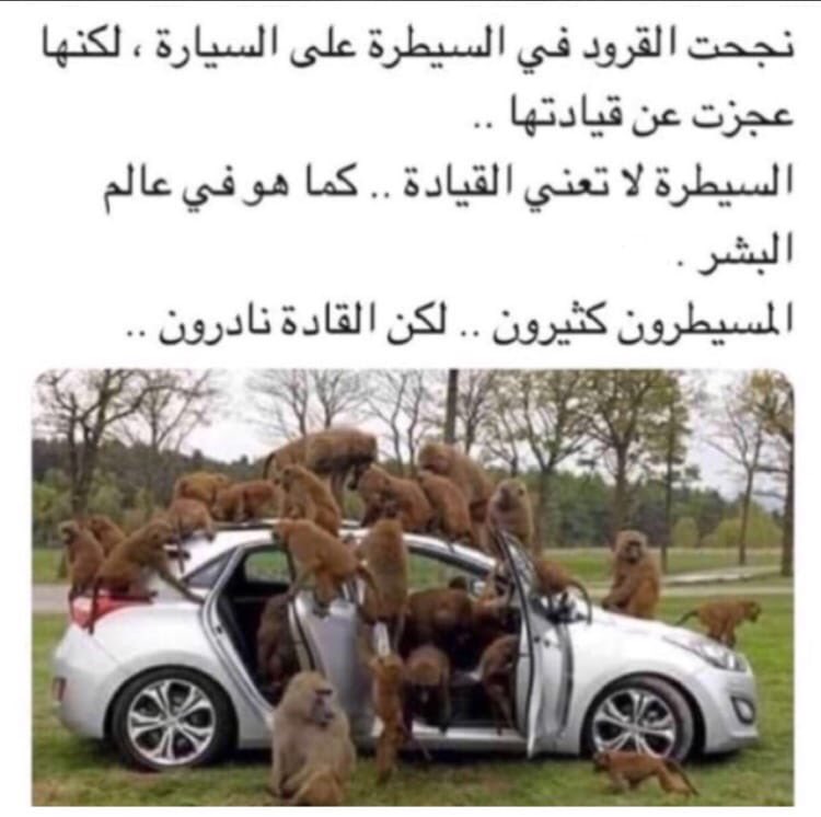 dr hasan (@drhasan10) on Twitter photo 