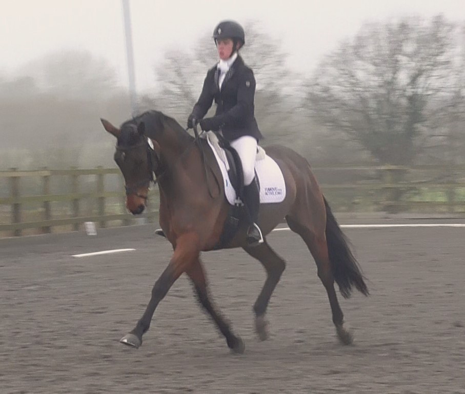 VetGoneEventing's tweet photo. Another good outing to Allens Hill Eventing CT this time doing the 3-star B test. Ali went well except one major strop gaining a 1(!) for that movement but still scoring 32.9 then a lovely confident clear at 1.20m again #eventing #training
@lintbellsequine #Yumove #ActiveJoint🌟 https://t.co/2CiA3hRuCA