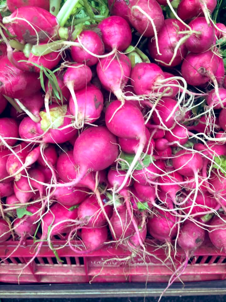 Beyond Kilos&Inches on Twitter "Radish is a root vegetable from the