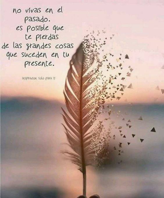 vidalaurayoga's tweet photo. Buenos días!
Bon dia!
Si, ya sé que lo he dicho muchas veces, pero no está mal recordarlo.
¡Vivamos el presente!
#ProfesoraYoga #YogaCampdeTuria https://t.co/bpBA3ZmOq0