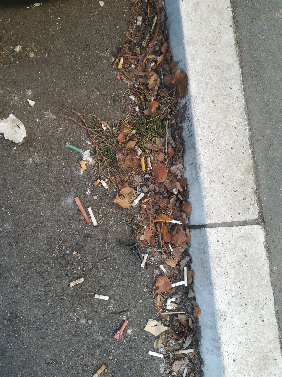 72Blok's tweet photo. @prijavi_problem Mogao bi neko da prođe i očisti smeće koje se nagomilalo uz ivičnjake parkinga. Dr. Ivana Ribara 92, ali prijavljujemo celu dužinu parkinga sa obe strane. https://t.co/Muy2MOUiZx