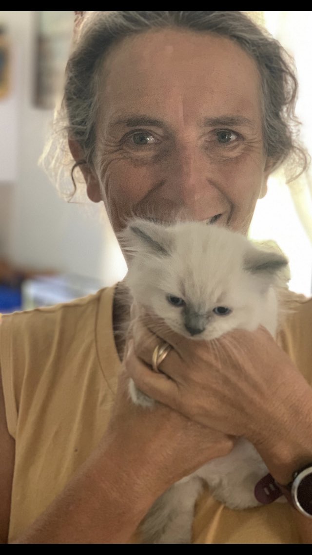 cocoruzac's tweet photo. #kittennames ok 18 months after losing my feline love this little gem is coming to live with us. Names suggestions ? So far I like Tonks, Raffi and the front runner being Two sheds in honour of Terry Jones https://t.co/79y5ANucNy