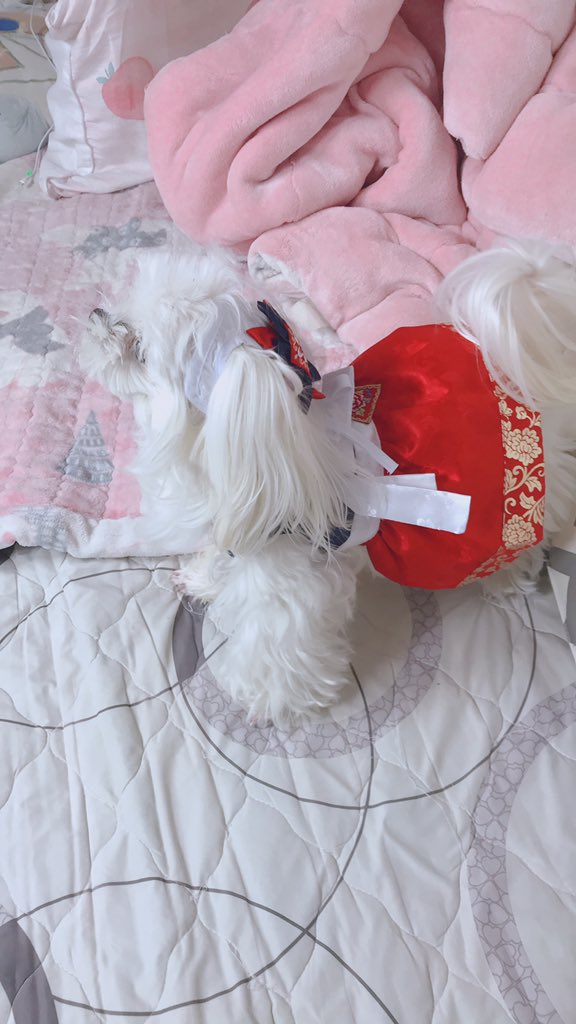 3car_user's tweet photo. 새해복*^^ https://t.co/Dp8XWKRqO4