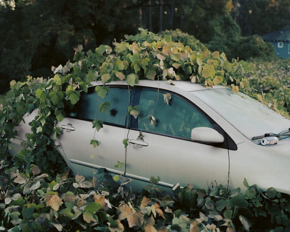 It's Nice That tweet media