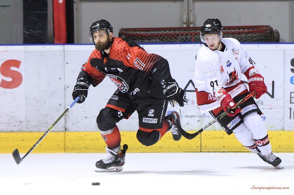 ScorpionsMulho's tweet photo. Jour de match ! 
🆚 @DiablesRouges05
⌚ 20h
📍 L'Illberg 
📝  https://t.co/bsi6jsuIlP
📺  https://t.co/kXJk9VCNrB
📋 https://t.co/ZzN7VdLwM2

#TousScorpions #SLMhockey
#AllezMulhouse https://t.co/Jz0SQD6OPD